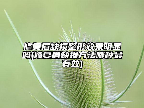 修復眉缺損整形效果明顯嗎(修復眉缺損方法哪種最有效)