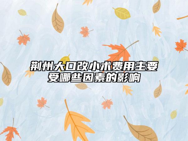 荊州大口改小術(shù)費用主要受哪些因素的影響