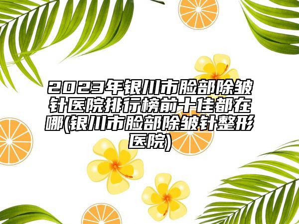 2023年銀川市臉部除皺針醫(yī)院排行榜前十佳都在哪(銀川市臉部除皺針整形醫(yī)院)