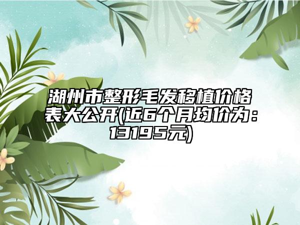 湖州市整形毛發(fā)移植價(jià)格表大公開(kāi)(近6個(gè)月均價(jià)為：13195元)