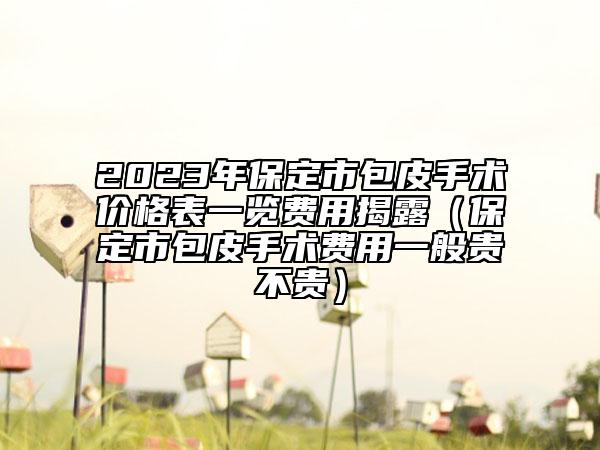 2023年保定市包皮手術(shù)價(jià)格表一覽費(fèi)用揭露（保定市包皮手術(shù)費(fèi)用一般貴不貴）