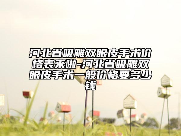 河北省吸雕雙眼皮手術(shù)價格表來啦-河北省吸雕雙眼皮手術(shù)一般價格要多少錢