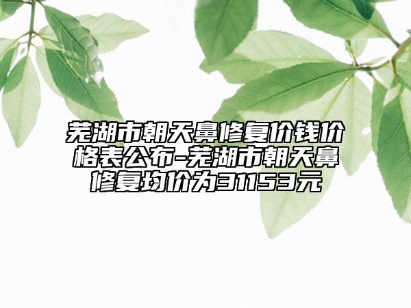 蕪湖市朝天鼻修復(fù)價(jià)錢價(jià)格表公布-蕪湖市朝天鼻修復(fù)均價(jià)為31153元