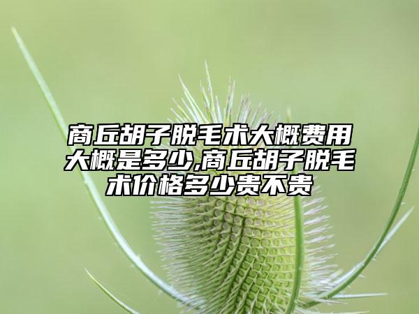 商丘胡子脫毛術大概費用大概是多少,商丘胡子脫毛術價格多少貴不貴