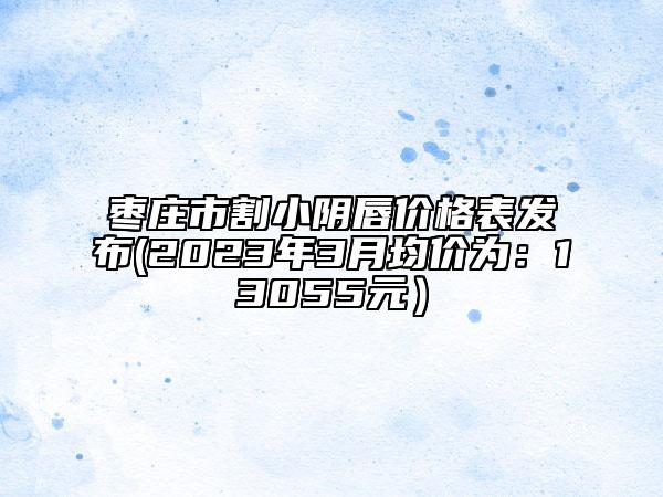 棗莊市割小陰唇價格表發(fā)布(2023年3月均價為：13055元）