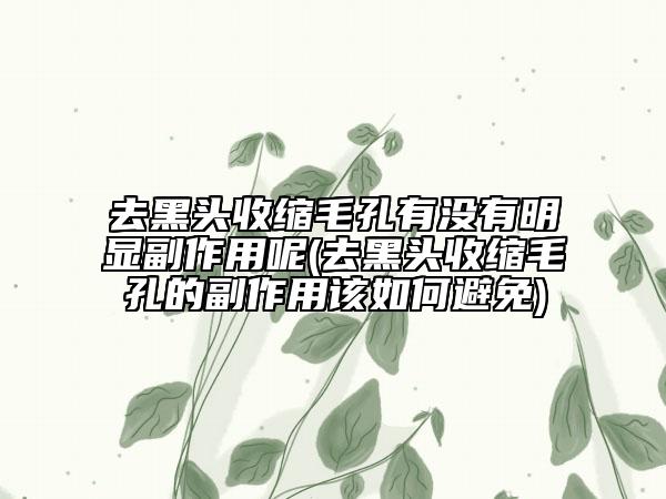 去黑頭收縮毛孔有沒(méi)有明顯副作用呢(去黑頭收縮毛孔的副作用該如何避免)