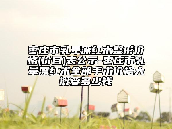 棗莊市乳暈漂紅術整形價格(價目)表公示-棗莊市乳暈漂紅術全部手術價格大概要多少錢