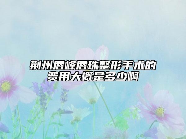 荊州唇峰唇珠整形手術(shù)的費(fèi)用大概是多少啊