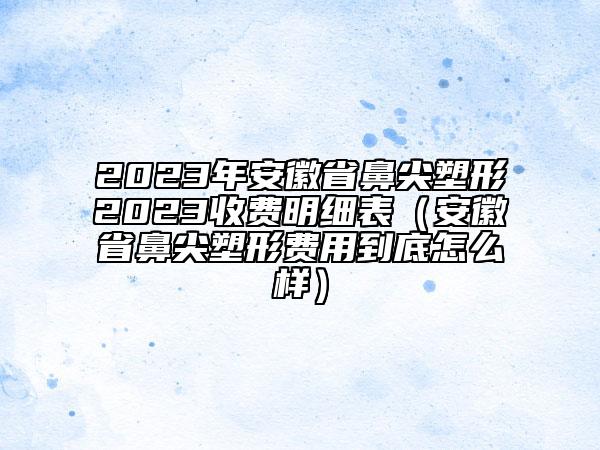 2023年安徽省鼻尖塑形2023收費明細表（安徽省鼻尖塑形費用到底怎么樣）