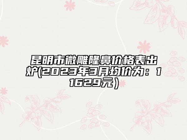 昆明市微雕隆鼻價格表出爐(2023年3月均價為：11629元）