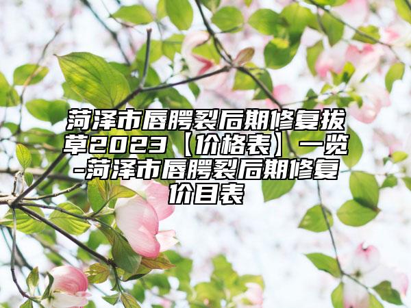 菏澤市唇腭裂后期修復拔草2023【價格表】一覽-菏澤市唇腭裂后期修復價目表