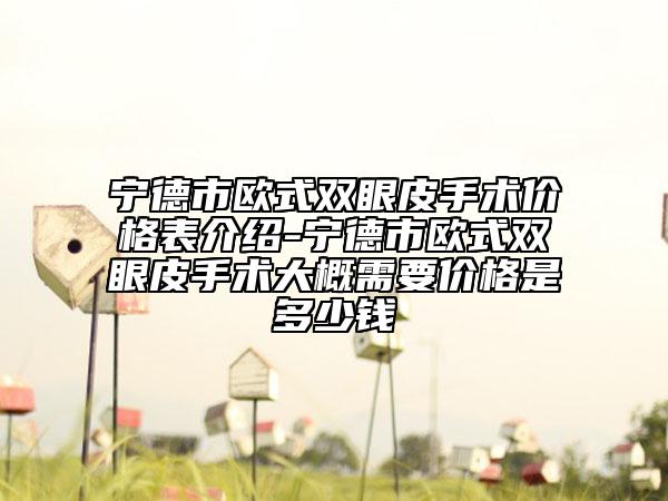 寧德市歐式雙眼皮手術價格表介紹-寧德市歐式雙眼皮手術大概需要價格是多少錢