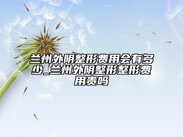 蘭州外陰整形費用會有多少_蘭州外陰整形整形費用貴嗎