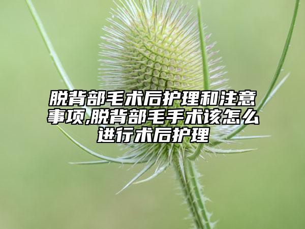 脫背部毛術(shù)后護理和注意事項,脫背部毛手術(shù)該怎么進行術(shù)后護理