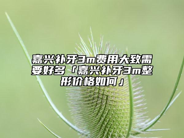 嘉興補(bǔ)牙3m費(fèi)用大致需要好多「嘉興補(bǔ)牙3m整形價(jià)格如何」