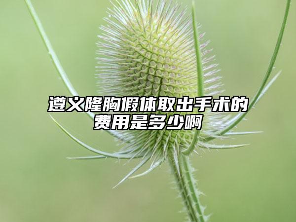 遵義隆胸假體取出手術(shù)的費(fèi)用是多少啊