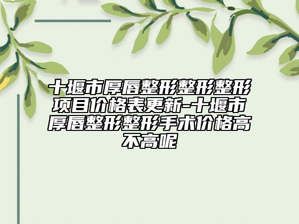 十堰市厚唇整形整形整形項目價格表更新-十堰市厚唇整形整形手術(shù)價格高不高呢