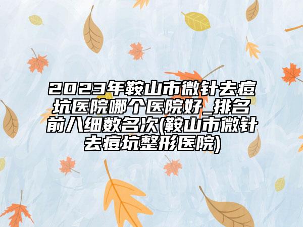 2023年鞍山市微針去痘坑醫(yī)院哪個醫(yī)院好_排名前八細(xì)數(shù)名次(鞍山市微針去痘坑整形醫(yī)院)