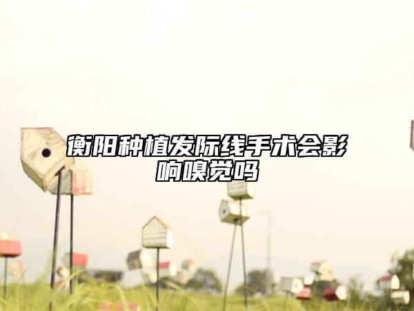 衡陽(yáng)種植發(fā)際線(xiàn)手術(shù)會(huì)影響嗅覺(jué)嗎