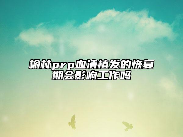 榆林prp血清植發(fā)的恢復(fù)期會(huì)影響工作嗎