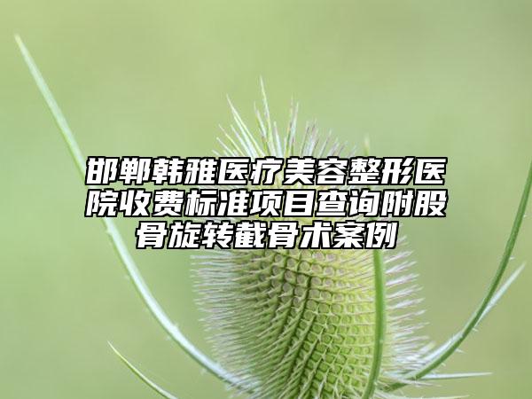 邯鄲韓雅醫(yī)療美容整形醫(yī)院收費標(biāo)準(zhǔn)項目查詢附股骨旋轉(zhuǎn)截骨術(shù)案例