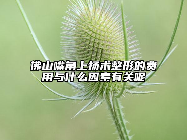 佛山嘴角上揚術(shù)整形的費用與什么因素有關(guān)呢