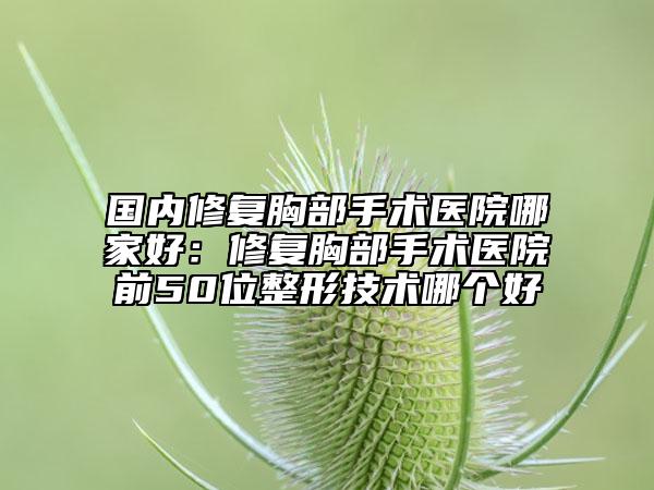 國內(nèi)修復(fù)胸部手術(shù)醫(yī)院哪家好：修復(fù)胸部手術(shù)醫(yī)院前50位整形技術(shù)哪個(gè)好