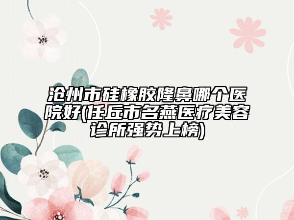 滄州市硅橡膠隆鼻哪個醫(yī)院好(任丘市名燕醫(yī)療美容診所強勢上榜)