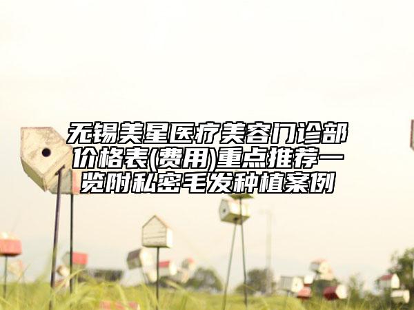 無錫美星醫(yī)療美容門診部?jī)r(jià)格表(費(fèi)用)重點(diǎn)推薦一覽附私密毛發(fā)種植案例