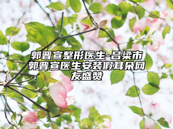 郭晉宣整形醫(yī)生-呂梁市郭晉宣醫(yī)生安裝假耳朵網(wǎng)友盛贊