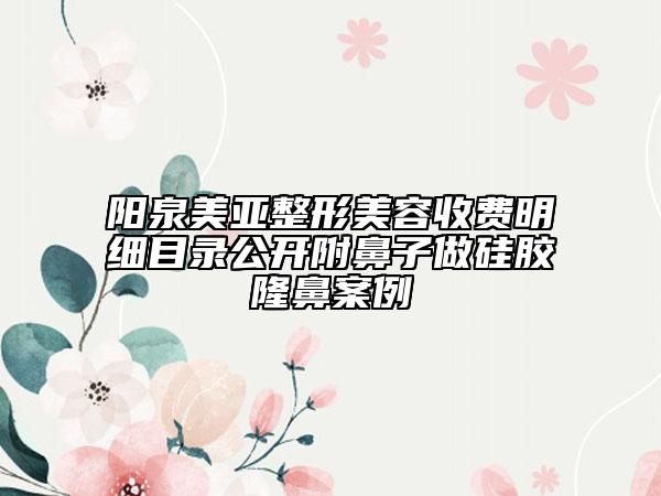 陽泉美亞整形美容收費明細目錄公開附鼻子做硅膠隆鼻案例