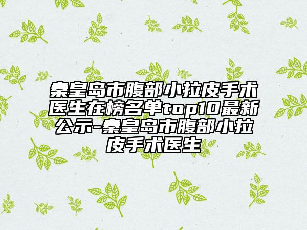 秦皇島市腹部小拉皮手術(shù)醫(yī)生在榜名單top10最新公示-秦皇島市腹部小拉皮手術(shù)醫(yī)生