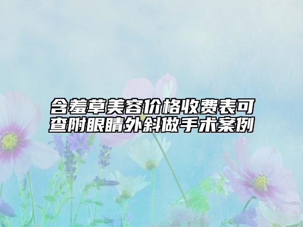 含羞草美容價(jià)格收費(fèi)表可查附眼睛外斜做手術(shù)案例