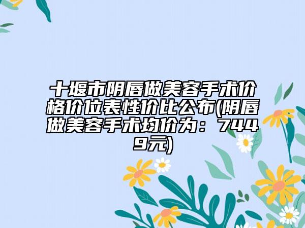 十堰市陰唇做美容手術(shù)價格價位表性價比公布(陰唇做美容手術(shù)均價為：7449元)