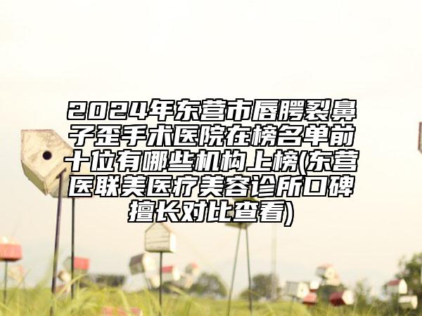 2024年?yáng)|營(yíng)市唇腭裂鼻子歪手術(shù)醫(yī)院在榜名單前十位有哪些機(jī)構(gòu)上榜(東營(yíng)醫(yī)聯(lián)美醫(yī)療美容診所口碑擅長(zhǎng)對(duì)比查看)