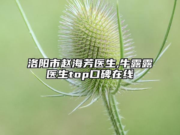 洛陽市趙海芳醫(yī)生,牛露露醫(yī)生top口碑在線