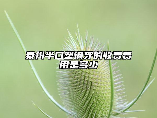 泰州半口塑鋼牙的收費(fèi)費(fèi)用是多少