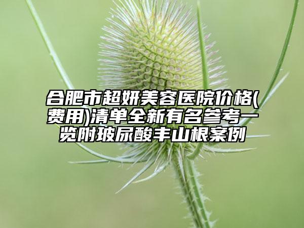 合肥市超妍美容醫(yī)院價格(費用)清單全新有名參考一覽附玻尿酸豐山根案例