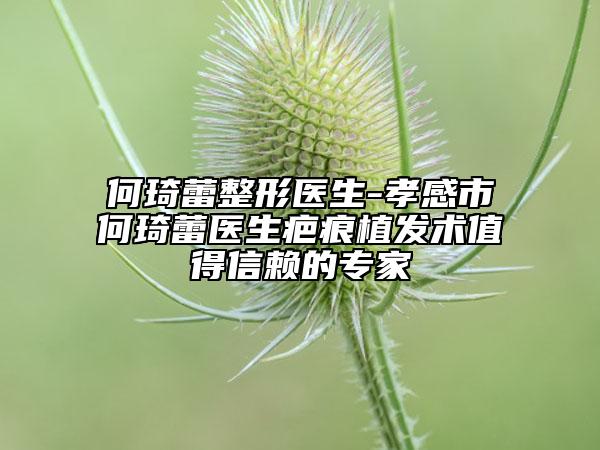 何琦蕾整形醫(yī)生-孝感市何琦蕾醫(yī)生疤痕植發(fā)術值得信賴的專家