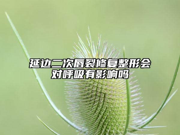 延邊二次唇裂修復(fù)整形會(huì)對(duì)呼吸有影響嗎