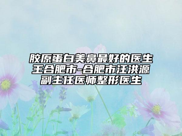 膠原蛋白美鼻最好的醫(yī)生王合肥市-合肥市汪洪源副主任醫(yī)師整形醫(yī)生