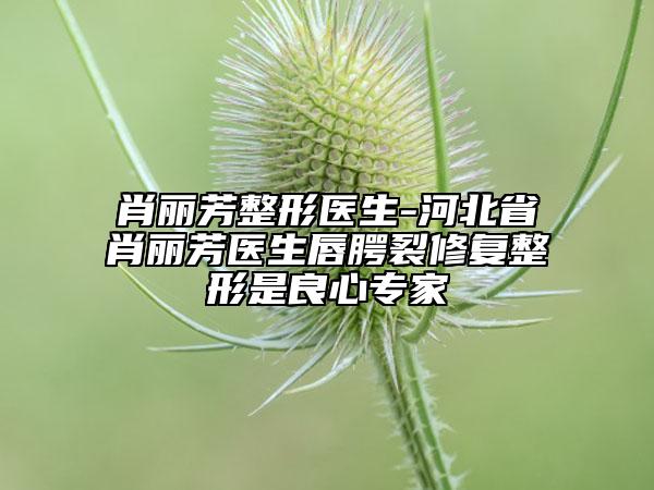 肖麗芳整形醫(yī)生-河北省肖麗芳醫(yī)生唇腭裂修復(fù)整形是良心專家