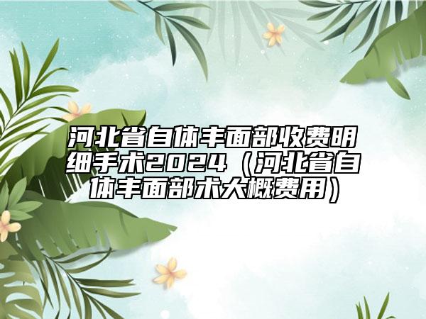 河北省自體豐面部收費明細手術(shù)2024（河北省自體豐面部術(shù)大概費用）