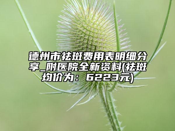 德州市祛斑費(fèi)用表明細(xì)分享_附醫(yī)院全新資料(祛斑均價(jià)為：6223元)