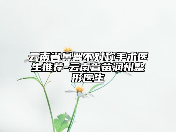 云南省鼻翼不對稱手術(shù)醫(yī)生推薦-云南省苗潤州整形醫(yī)生