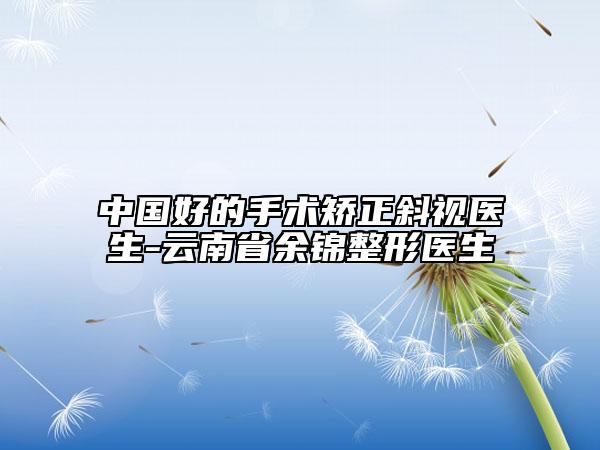 中國(guó)好的手術(shù)矯正斜視醫(yī)生-云南省余錦整形醫(yī)生