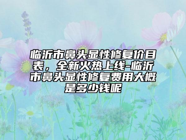 臨沂市鼻頭顯性修復(fù)價(jià)目表，全新火熱上線-臨沂市鼻頭顯性修復(fù)費(fèi)用大概是多少錢呢