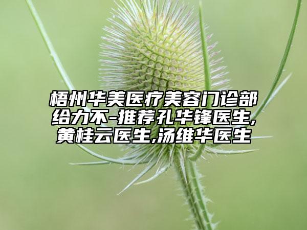 梧州華美醫(yī)療美容門診部給力不-推薦孔華鋒醫(yī)生,黃桂云醫(yī)生,湯維華醫(yī)生