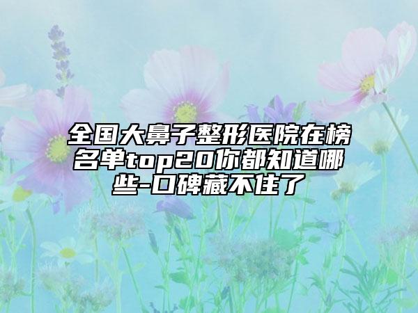 全國大鼻子整形醫(yī)院在榜名單top20你都知道哪些-口碑藏不住了