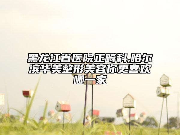 黑龍江省醫(yī)院正畸科,哈爾濱華美整形美容你更喜歡哪一家